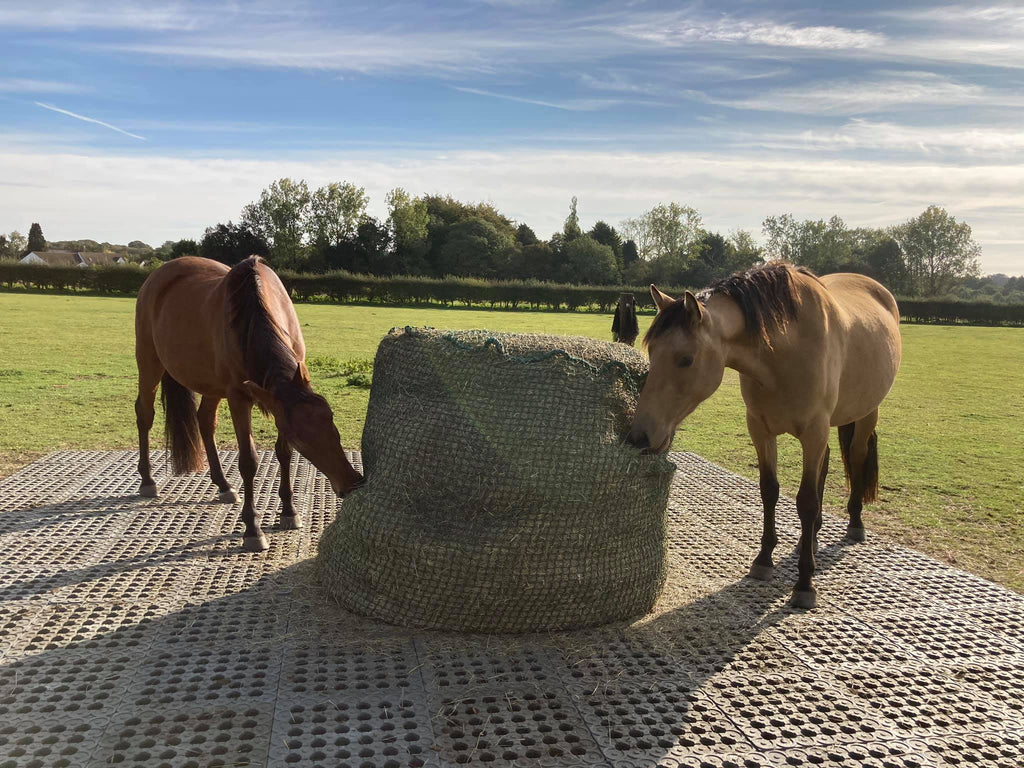 🐴💥 INB-Paddockplatten  – Abholung gratis, Versand möglich! 🚚