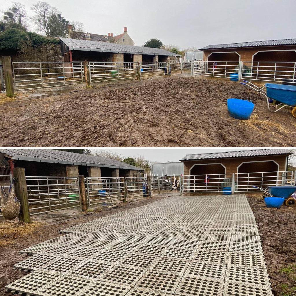 🐴💥 INB-Paddockplatten  – Abholung gratis, Versand möglich! 🚚