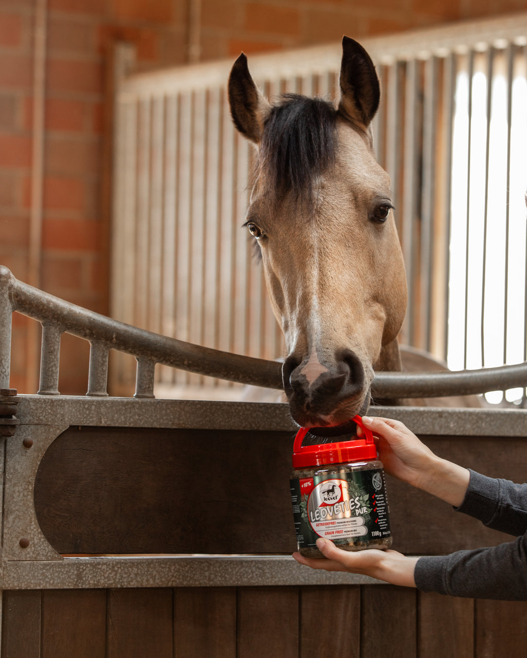 Leoveties Getreidefrei – Mengenrabatt - 12 Stk für 68€ statt 81€ Pferdeleckerli