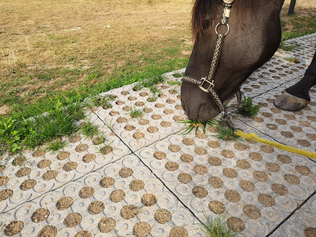 🐴💥 INB-Paddockplatten  – Abholung gratis, Versand möglich! 🚚