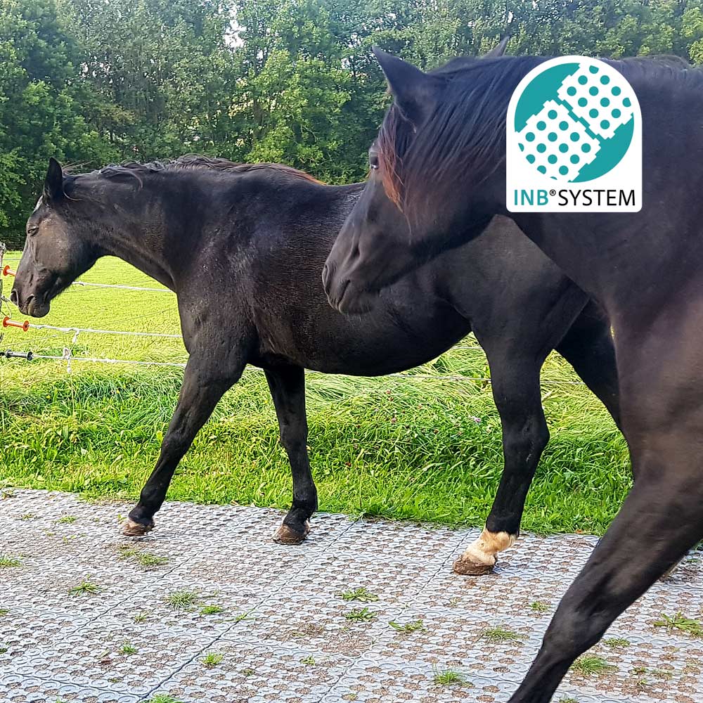 🐴💥 INB-Paddockplatten  – Abholung gratis, Versand möglich! 🚚