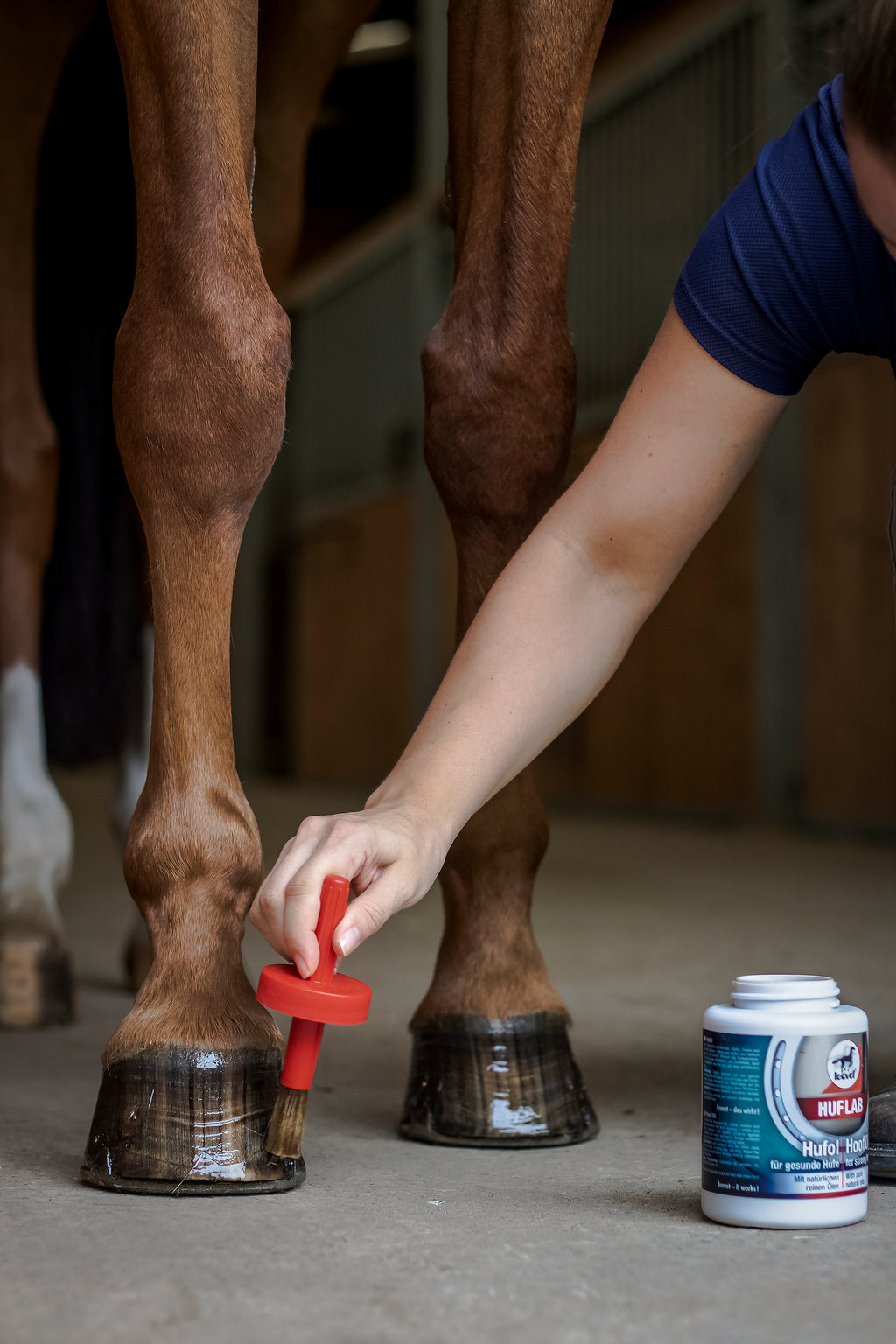 👉 Leovet Huföl 450ml – Premium Hufpflege mit Pinsel – Glanz & Schutz für gesund