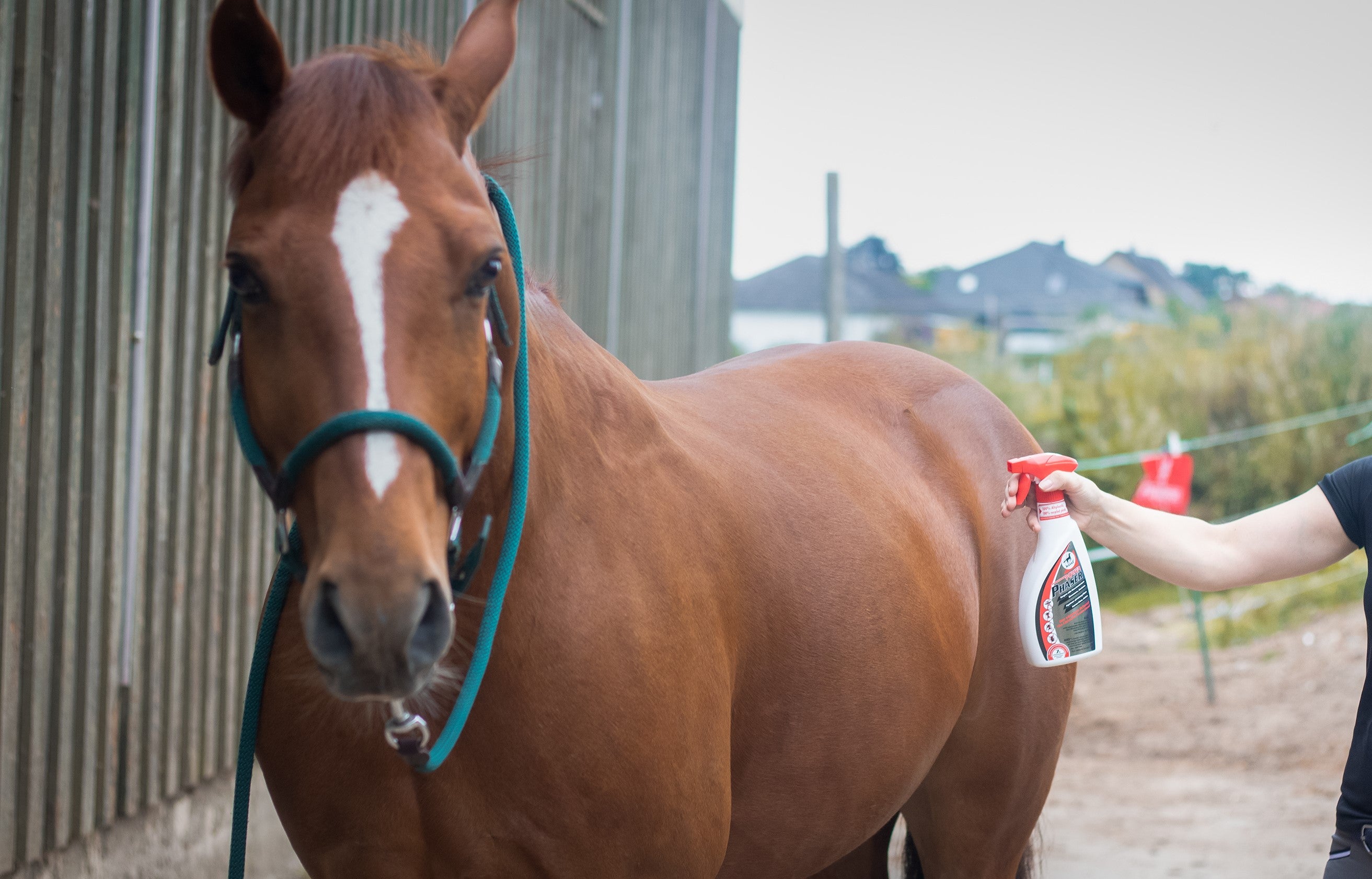 🦟⚡ Leovet Power Phaser – Effektives Fliegenspray für Pferde