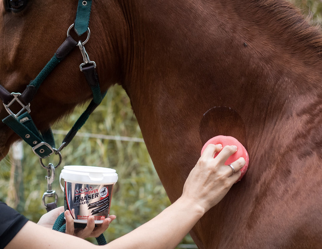 ⚡ Leovet Power Phaser Durativ – Fliegenschutz fürs Pferd – nur 19,95 €! 🐴