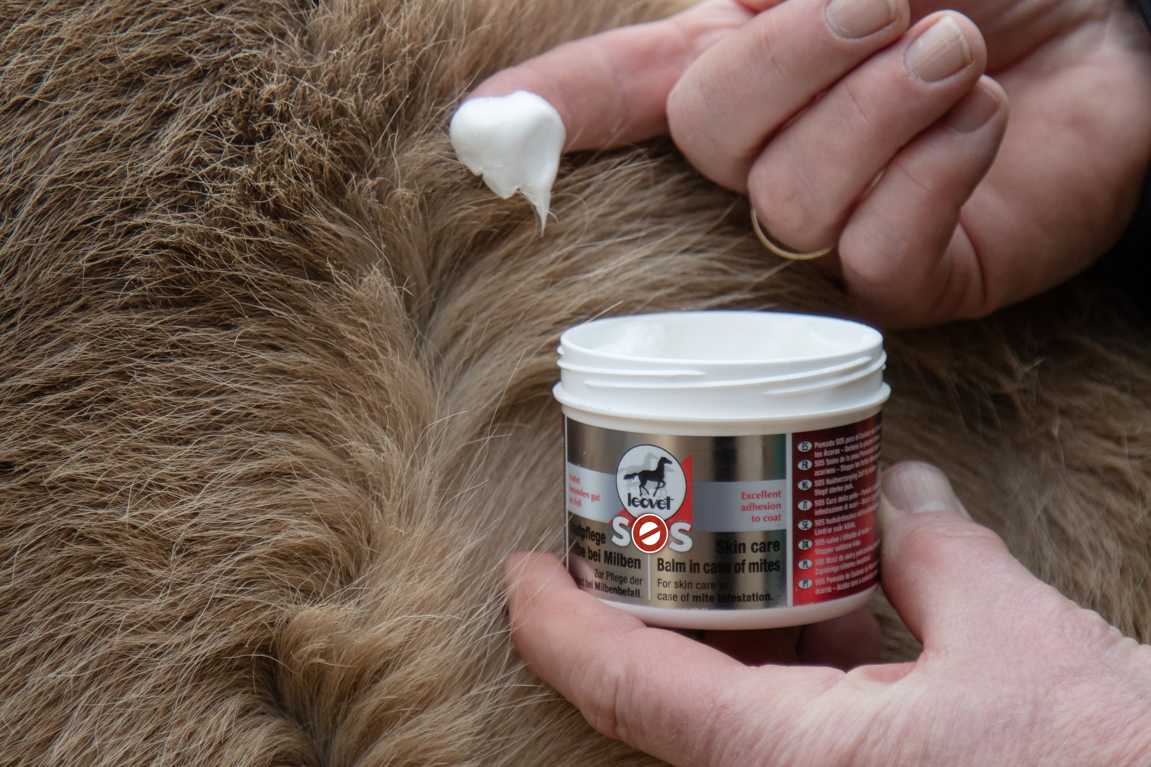 Angebot 3in1 Set: Leovet SOS bei Milben – Shampoo, Lotion & Salbe gegen Juckreiz