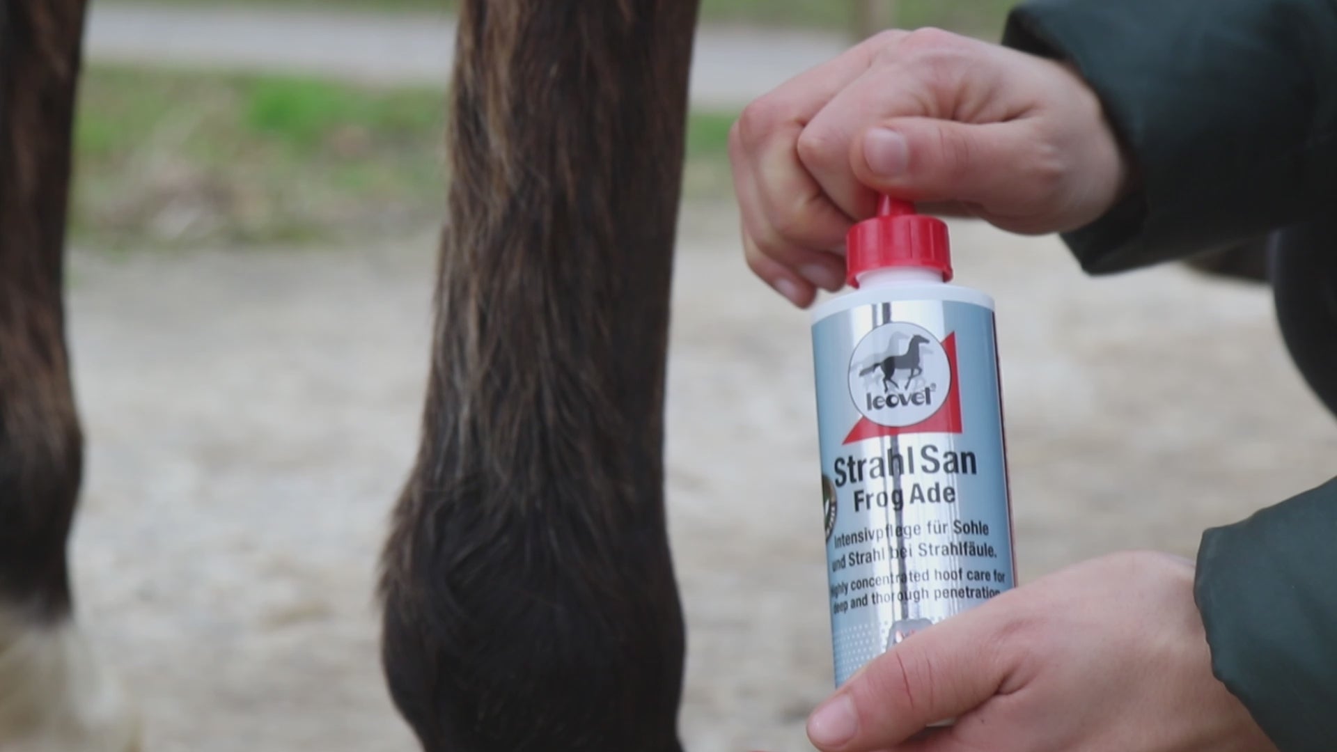 🐴✨ Leovet Strahlsahn mit Pinsel – Pflege & Schutz für gesunde Hufe